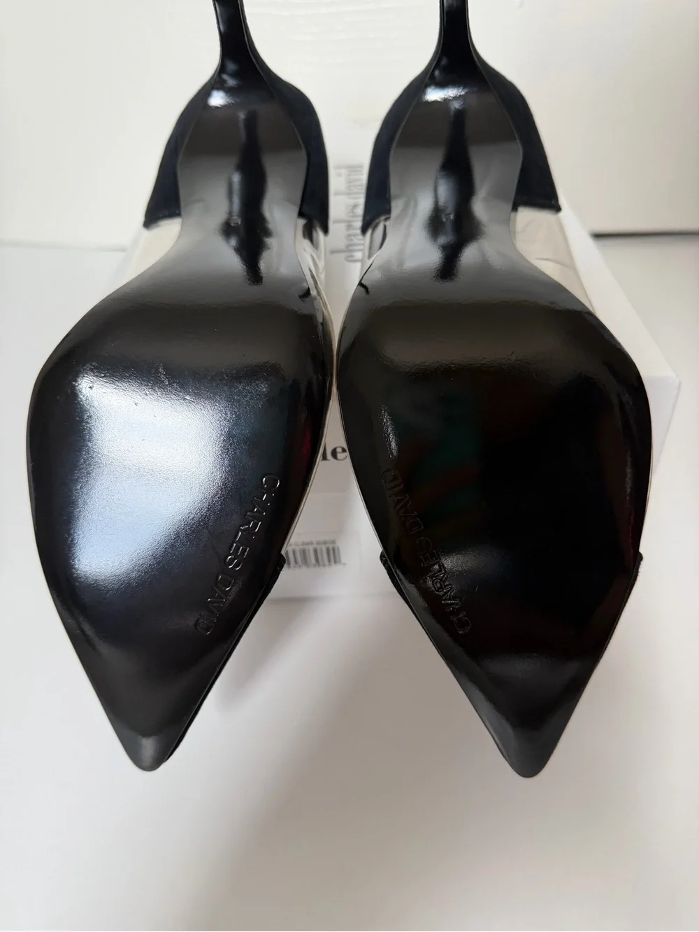 Charles David Women's Black Pointed-Toe Plexi and black suede Pumps, Size 9